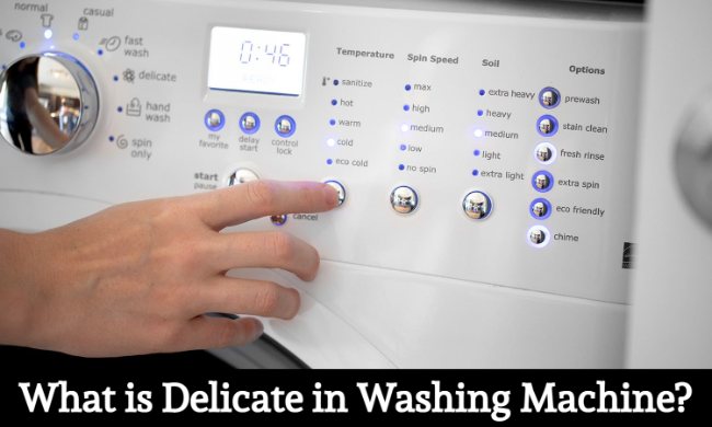 what is delicate in washing machine