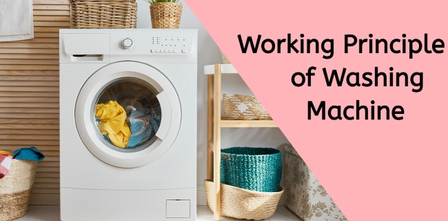 washing machine works on which principle